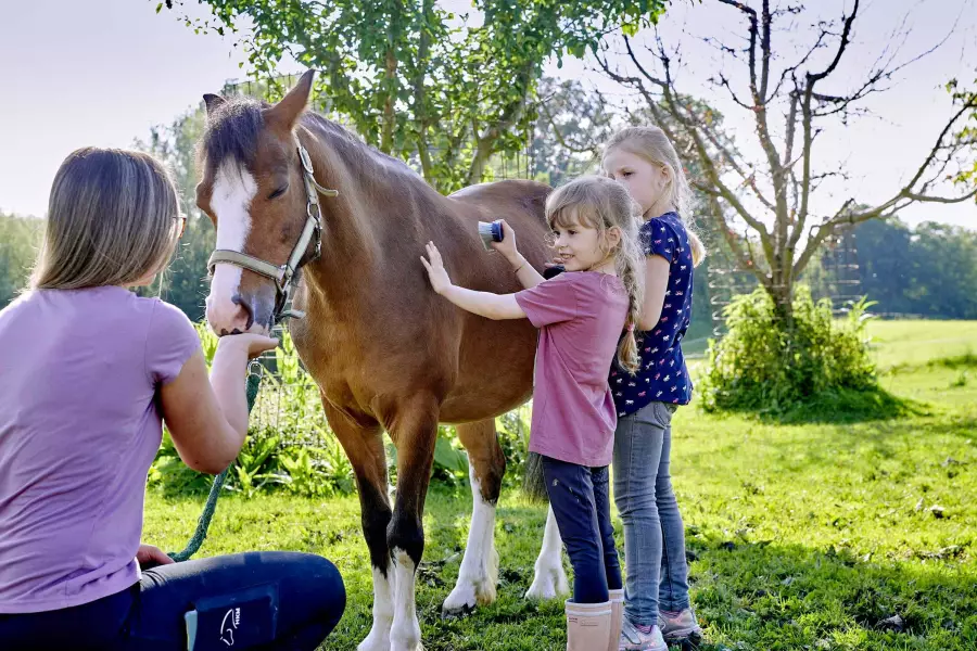 Pferdepflege am Thomahof