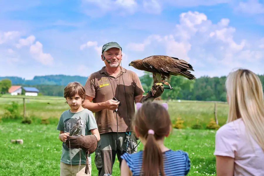 Verschiedenste Tiere aus der Nähe bestaunen