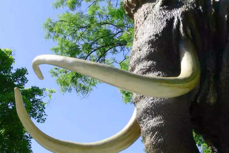 Mammutmuseum Siegsdorf mit SteinZeitGarten