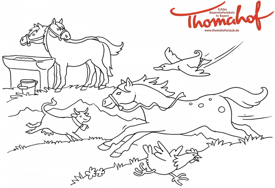 Pferde und Kühe auf der Weide