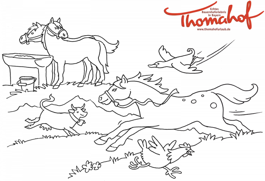 Pferde und Kühe auf der Weide