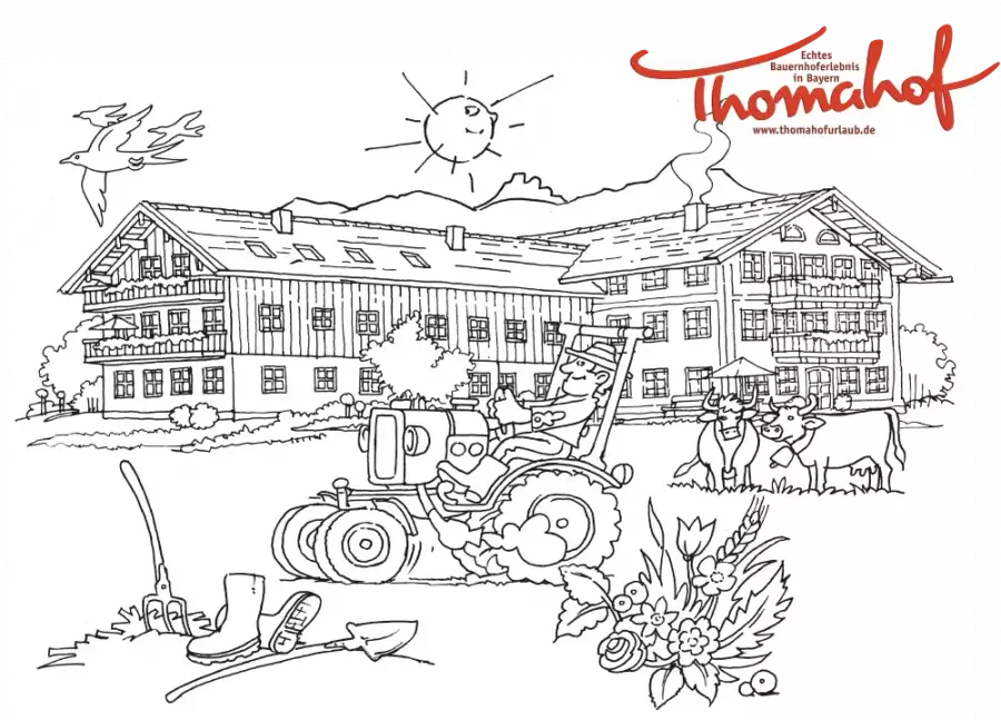 Bauer Alois auf dem Oldtimer-Traktor