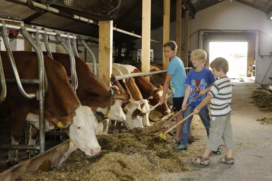 Alltag auf dem Bauernhof erleben