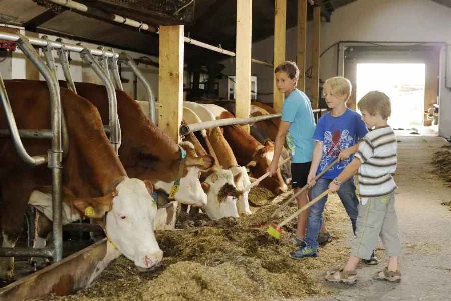 Alltag auf dem Bauernhof erleben
