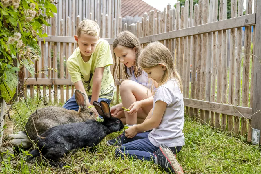 Natur erwacht am Thomahof in Eizing in Oberbayern