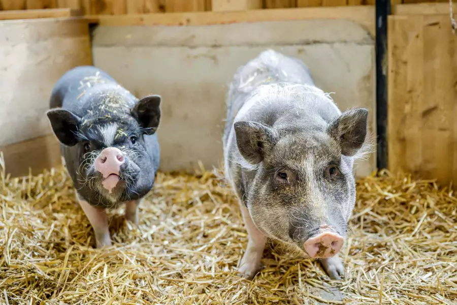 Natur & Tiere hautnah erleben
