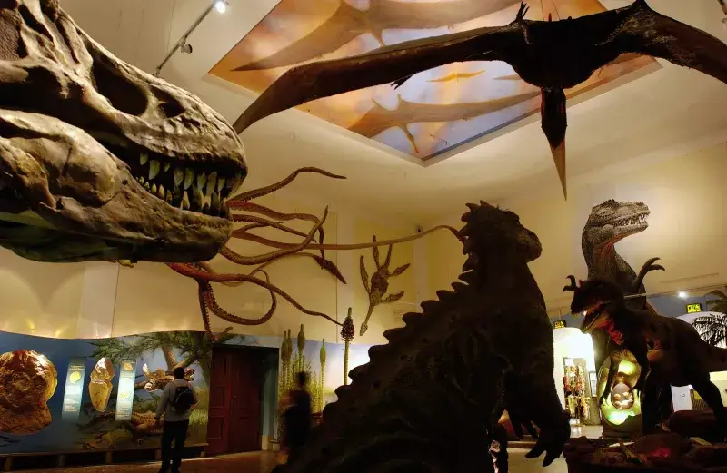 Lehrreiche Entdeckungen in Salzburg